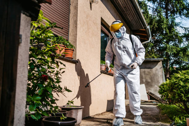 Best Wildlife Control Services  in King City, CA