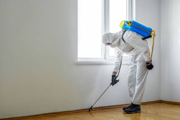 Best Local Pest Control Services  in King City, CA