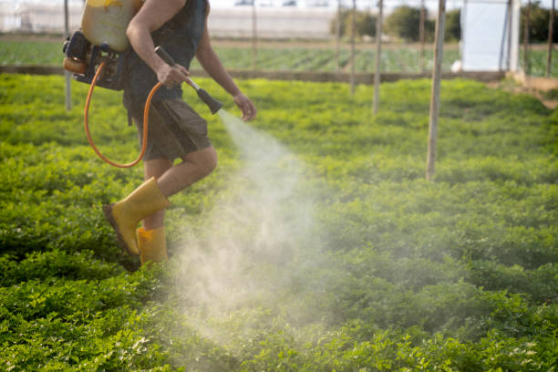 Best Mosquito Control Services  in King City, CA