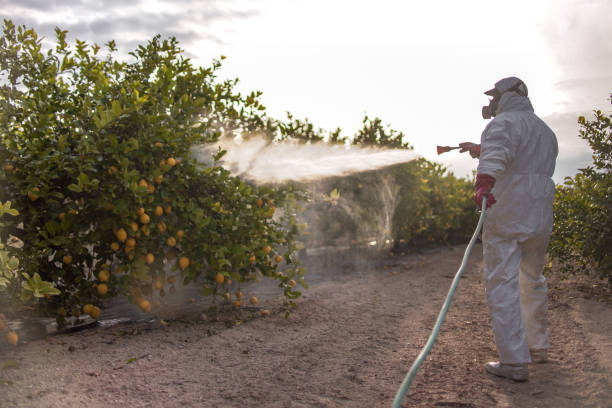 Best Mosquito Control Services  in King City, CA