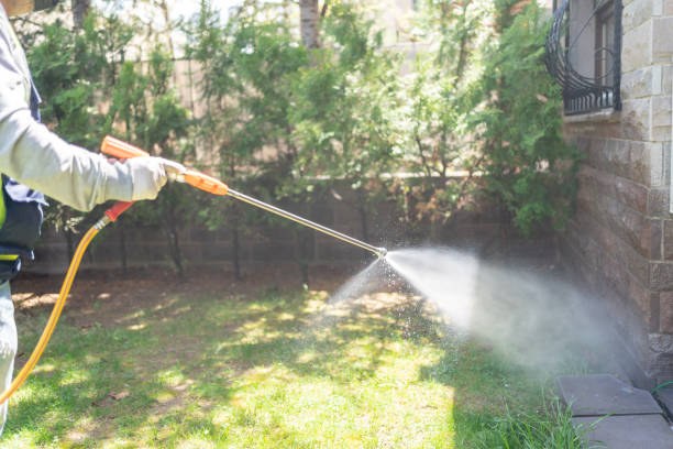 Best Affordable Pest Control Services  in King City, CA