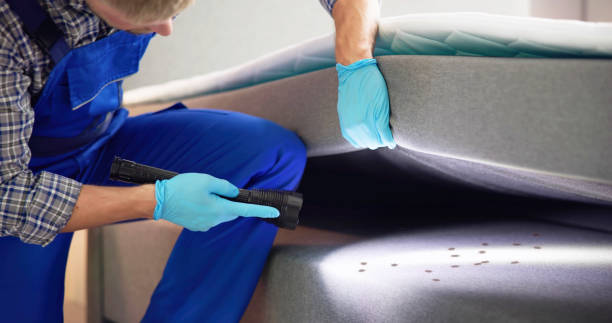 Best Pest Inspection Near Me  in King City, CA