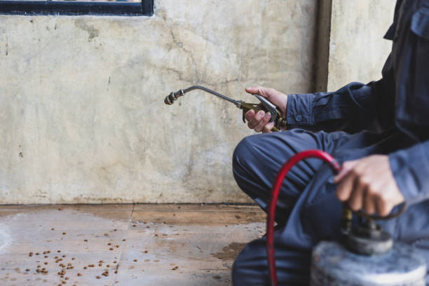 Best Wasp Removal Services  in King City, CA